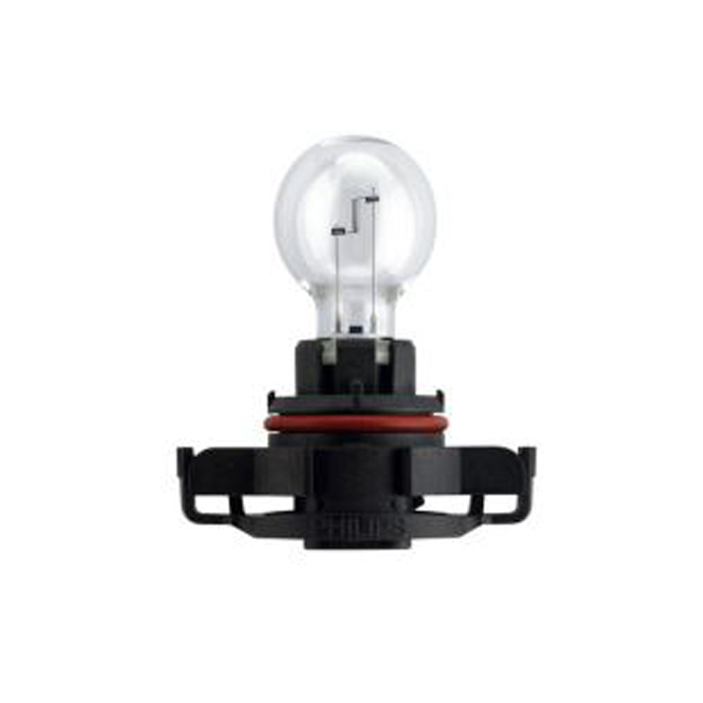 New Philips Globe Ps19W 12V 19W 1Pack (12085C1)