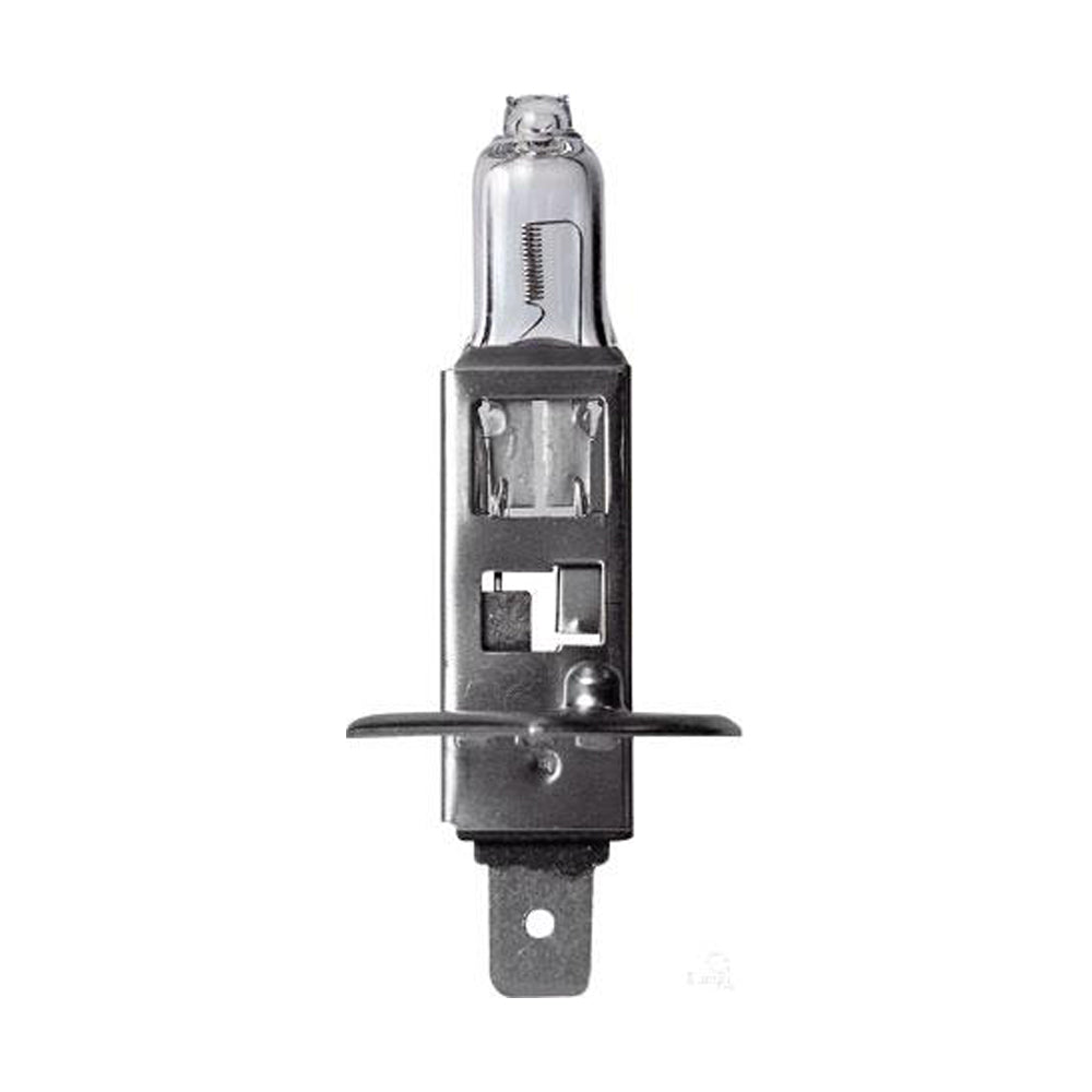 New Philips Globe H1 12V 55W Single Blister Pack Premium Vision (12258Prb1)