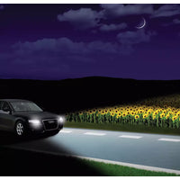 New Philips Globe Hb4 12V 55W P22D Single Blister Pack (9006Xvb1)