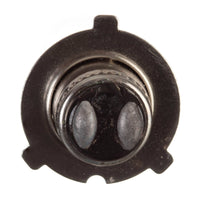 New WHITES Globe 12V 35/35W H/L Three Pin Halogen (ea) #ELB12330