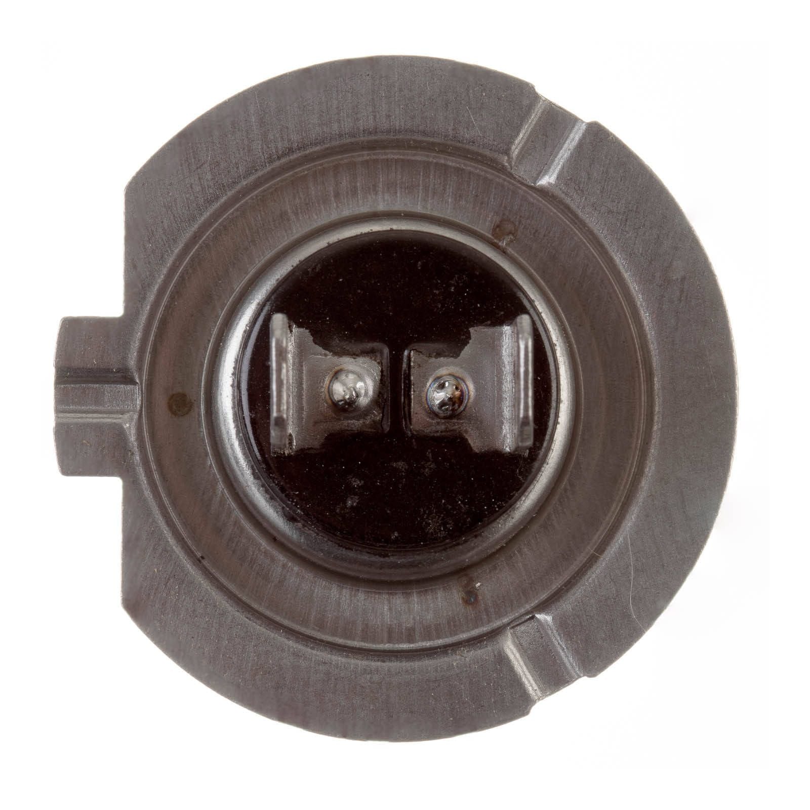 New WHITES Globe 12V 55w H/L H7 Halogen (ea) #ELB12415