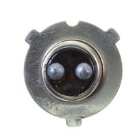 New WHITES Globes 6V 35/36W H/L Three Pin (A7008) (Pack of 10) #ELB6335