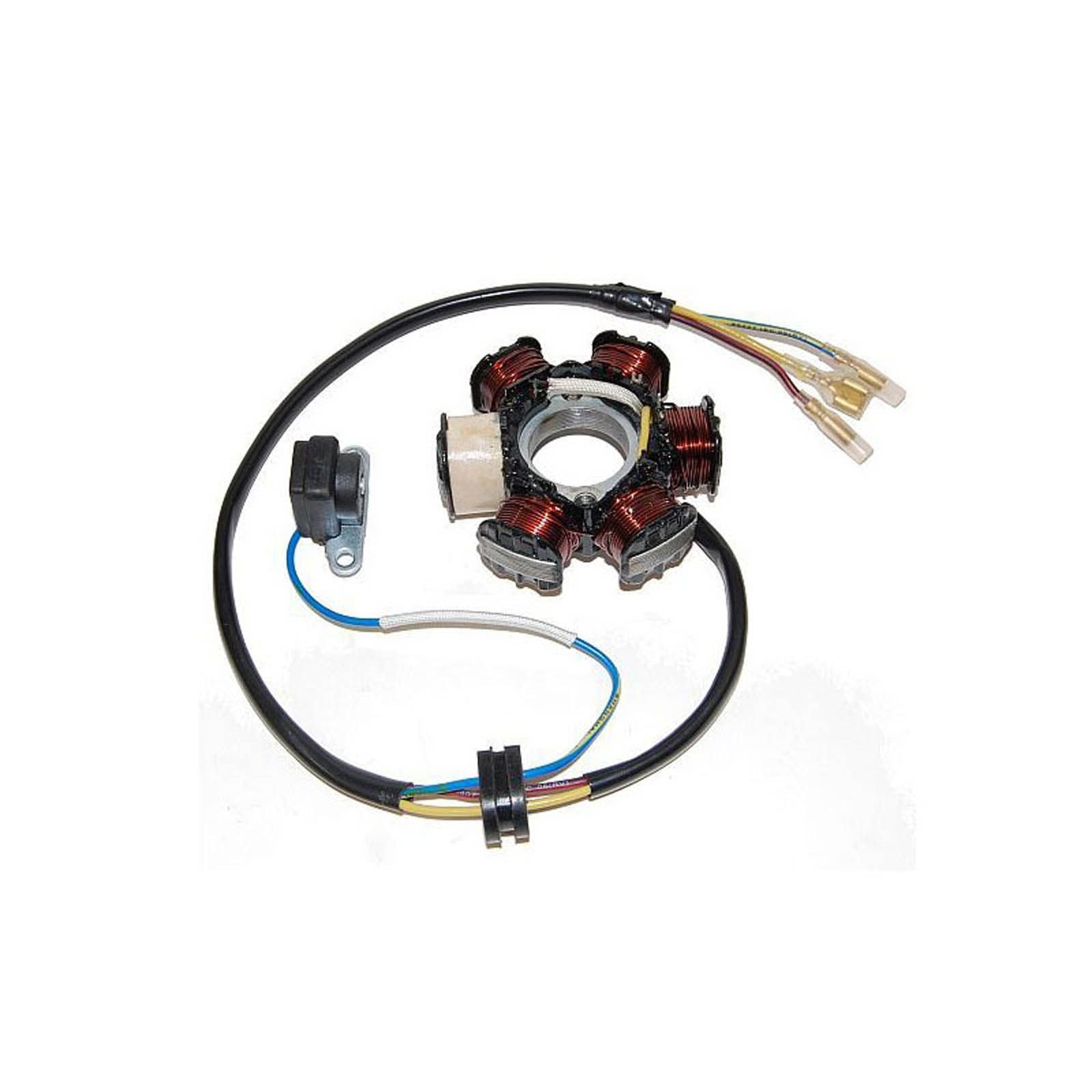 ELECTROSPORT Stator For Honda XR80/CRF80F 93-09 /XR100R/CRF100F 92-09 #ESG122