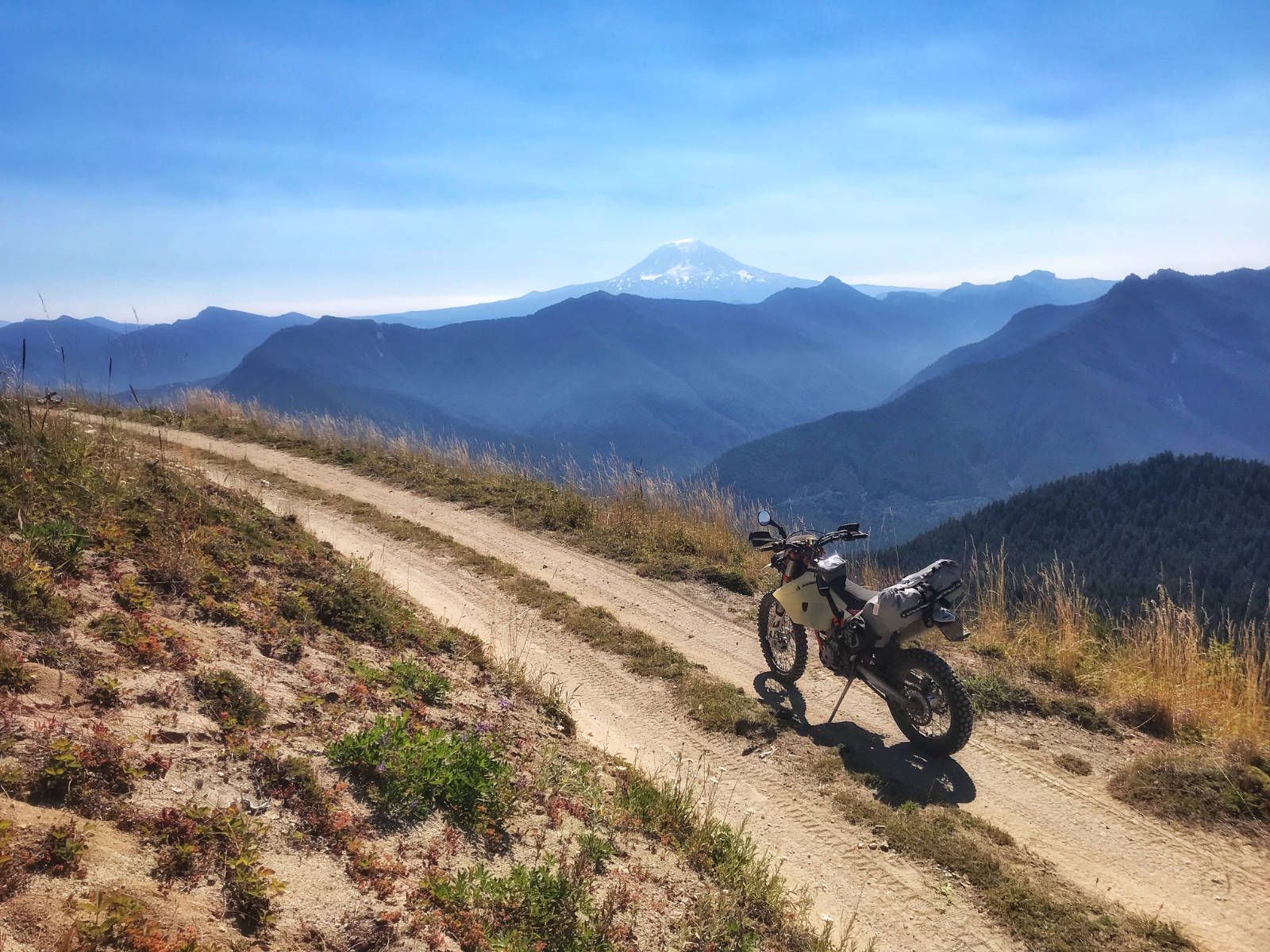 New GIANT LOOP Giant Loop Buckin' Roll Tank Bag - Black #GLBNR20B