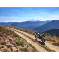 New GIANT LOOP Giant Loop Buckin' Roll Tank Bag - Black #GLBNR20B