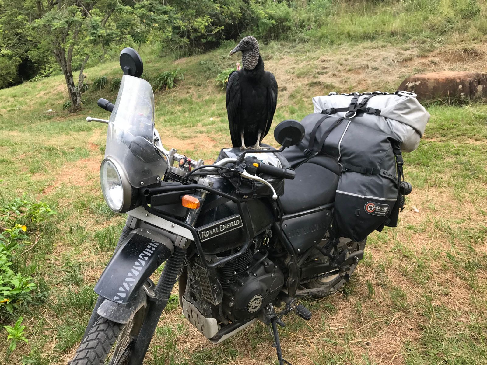 New GIANT LOOP Saddlebag Great Basin - Orange #GLGBSB17RTO