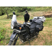 New GIANT LOOP Saddlebag Great Basin - Orange #GLGBSB17RTO