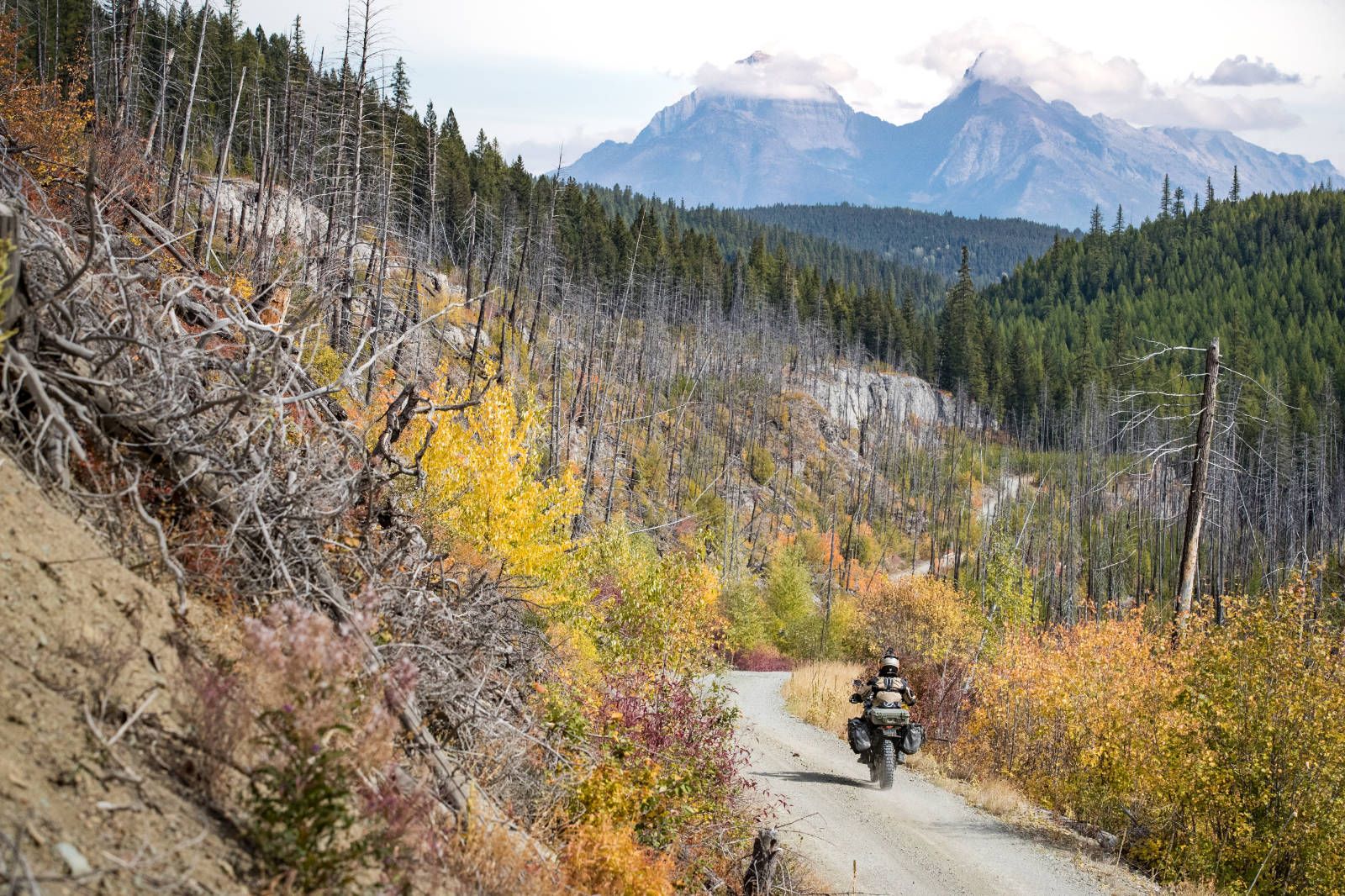 New GIANT LOOP Round The World Panniers - Black #GLRTW17