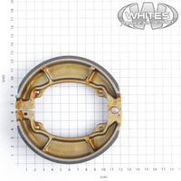 New PREMIER Brake Shoes & Springs #PBS9