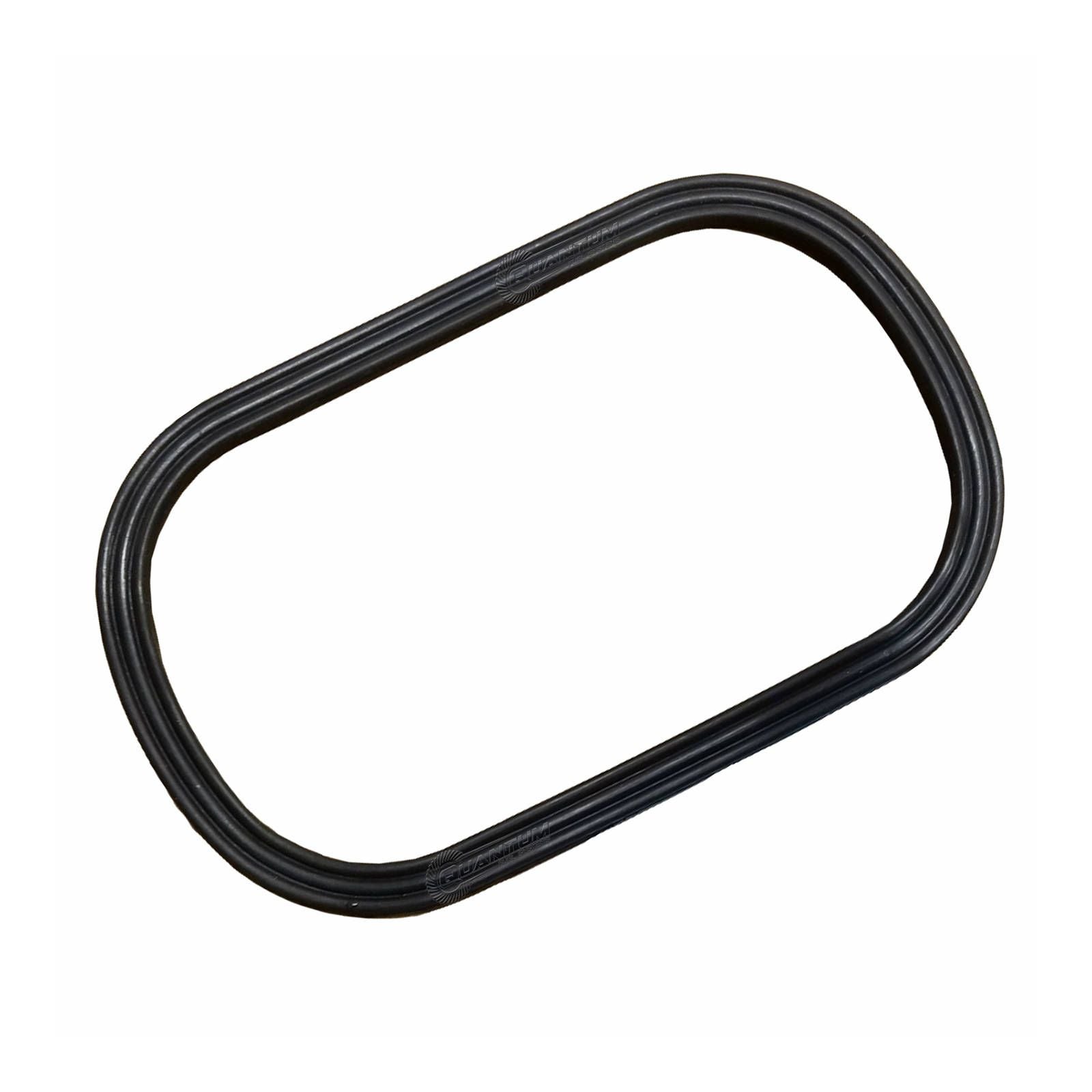 New QUANTUM Fuel Pump Tank Seal Gasket #QFHFPTS25
