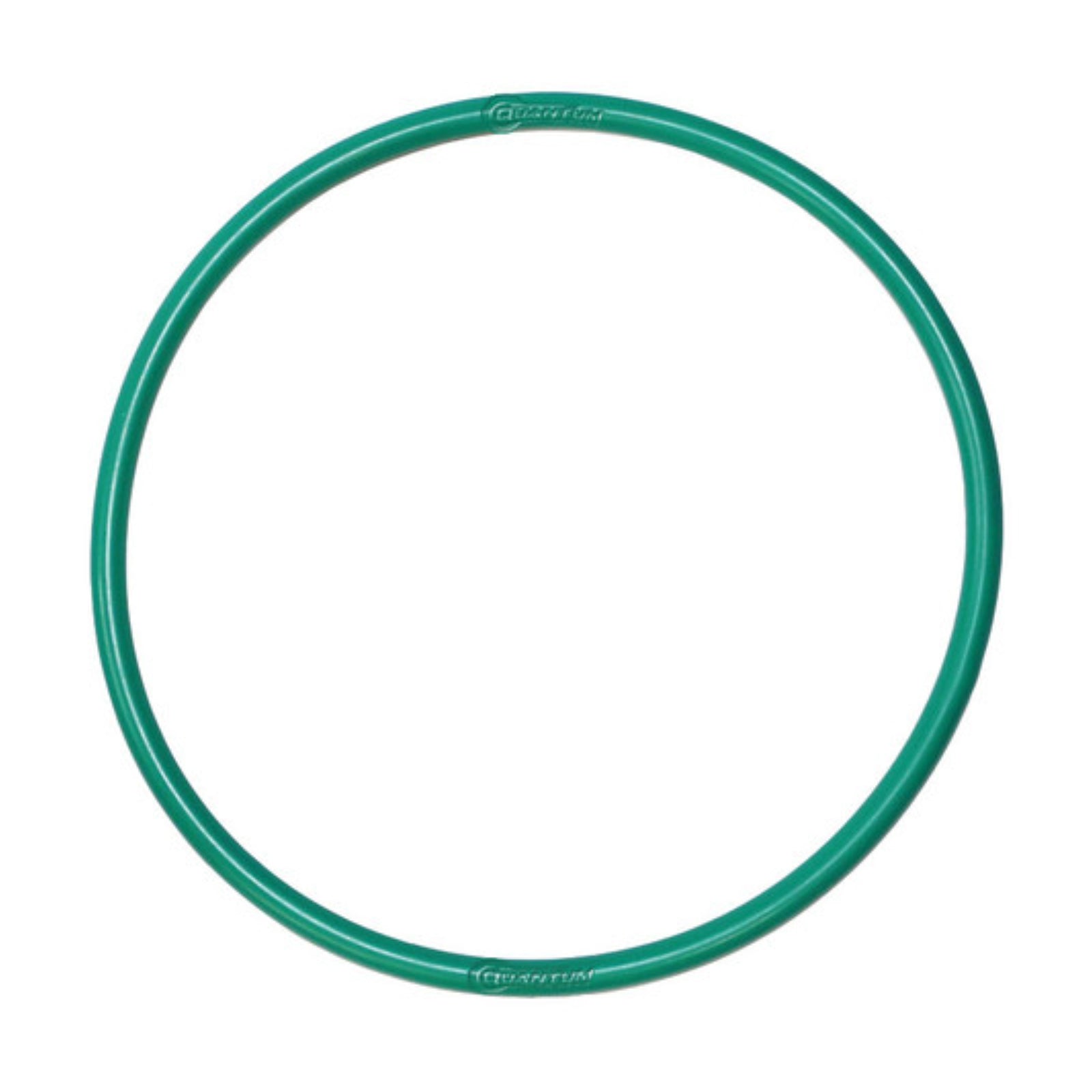 New QUANTUM Fuel Pump Tank Seal Gasket #QFHFPTS65 | Australian Moto Spares