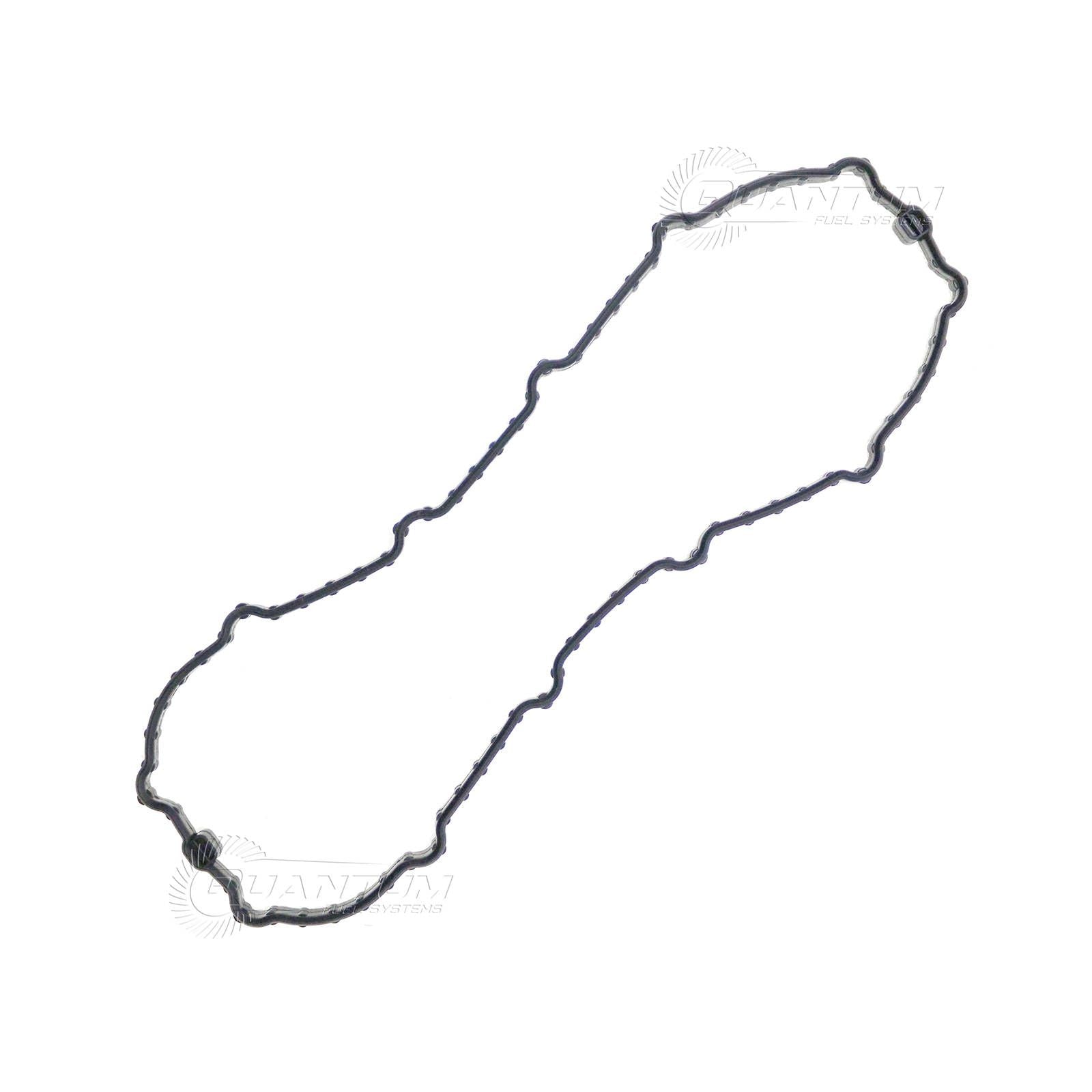 New QUANTUM Fuel Pump Tank Seal Gasket #QFHFPTS6