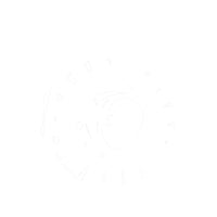 New RMSTATOR Stator For Yamaha XVS650 V-STAR CUSTOM 2004-2016 #RMS010103240