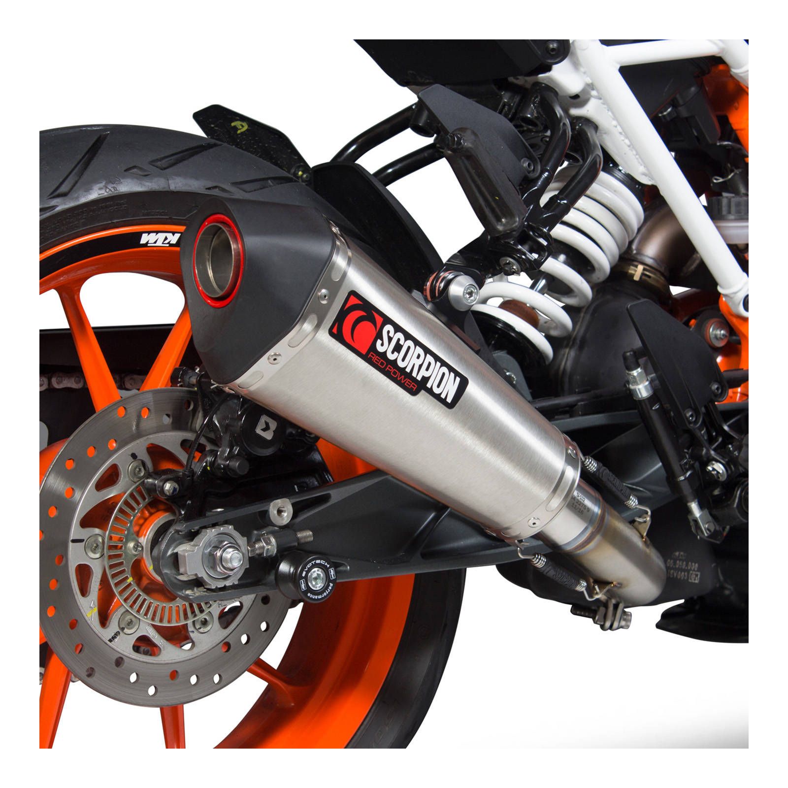 New SCORPION SLIP ON T SSTEEL SCERKT83SEO