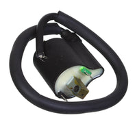 New WHITES Electrical Ignition Coil 12V #WPELC04120152